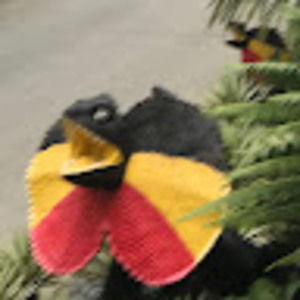 Meet your Posher, Thao